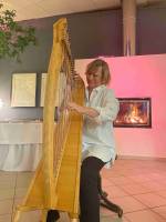 Na harfu hrla Ivana Pokorn, prvn harfistka Opery Nrodnho divadla.